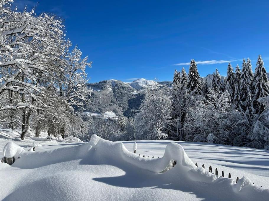 Chalet Alpage Proche Geneve Mégevette Kültér fotó
