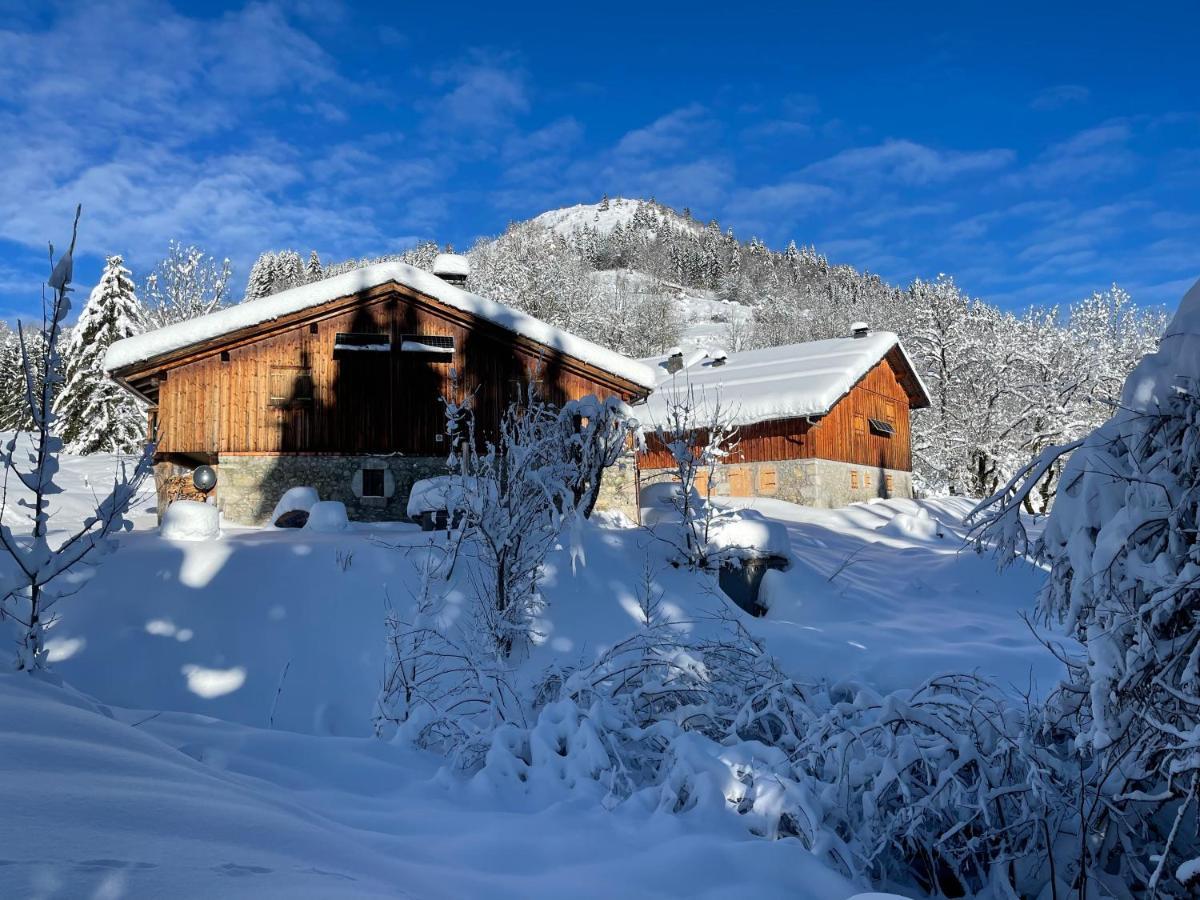 Chalet Alpage Proche Geneve Mégevette Kültér fotó
