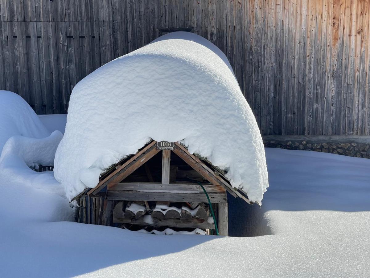 Chalet Alpage Proche Geneve Mégevette Kültér fotó