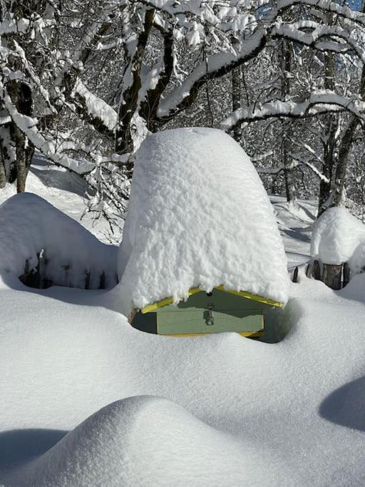 Chalet Alpage Proche Geneve Mégevette Kültér fotó