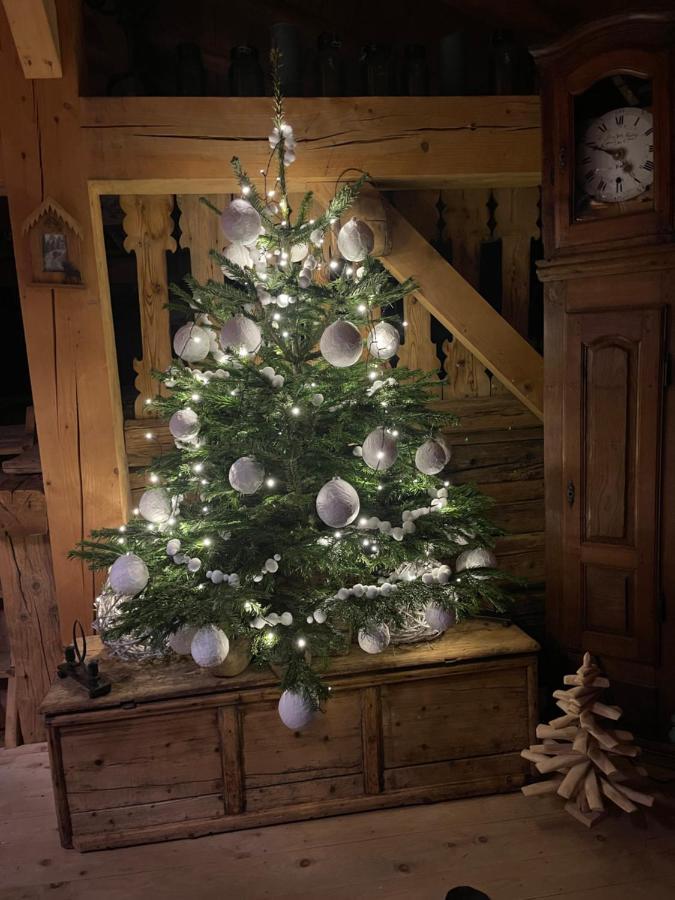 Chalet Alpage Proche Geneve Mégevette Kültér fotó