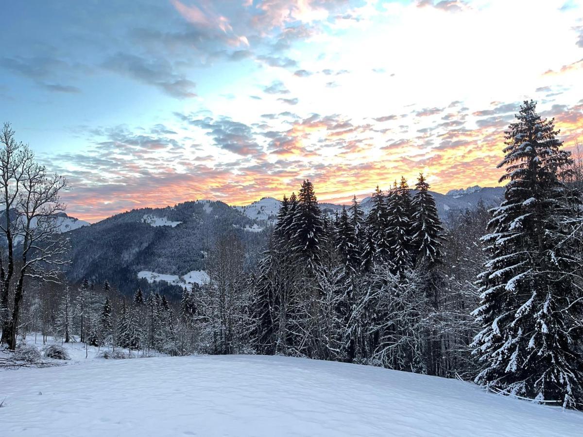 Chalet Alpage Proche Geneve Mégevette Kültér fotó