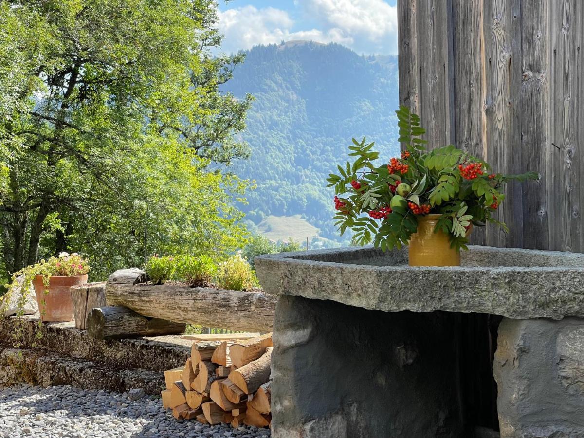 Chalet Alpage Proche Geneve Mégevette Kültér fotó