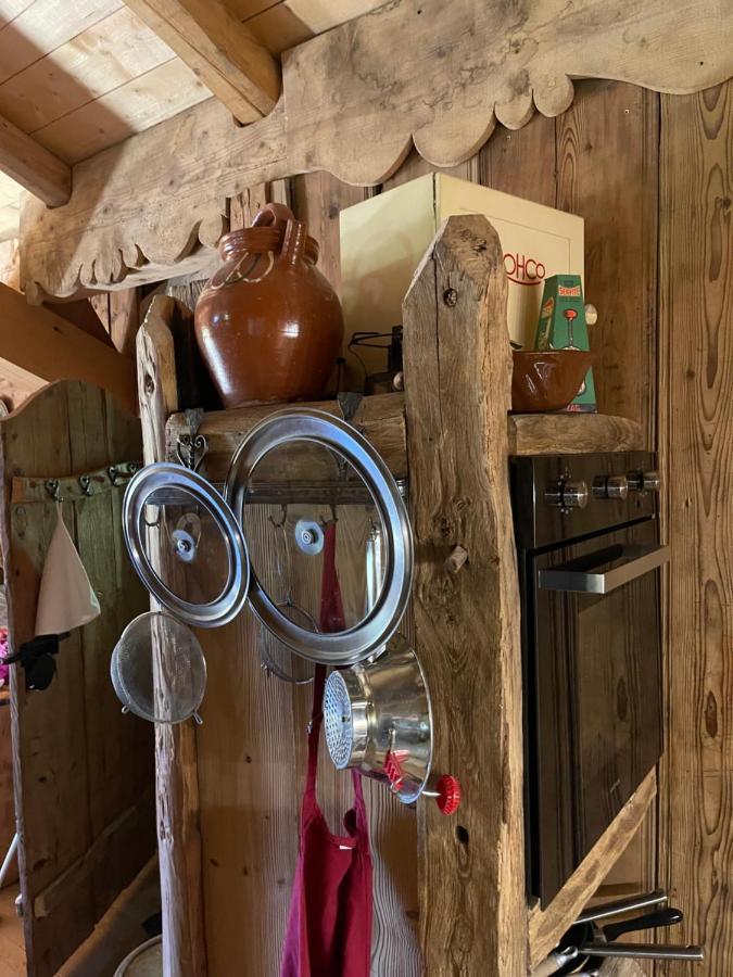 Chalet Alpage Proche Geneve Mégevette Kültér fotó