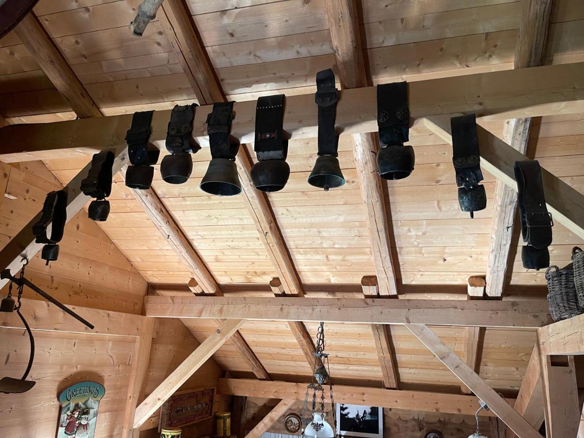Chalet Alpage Proche Geneve Mégevette Kültér fotó