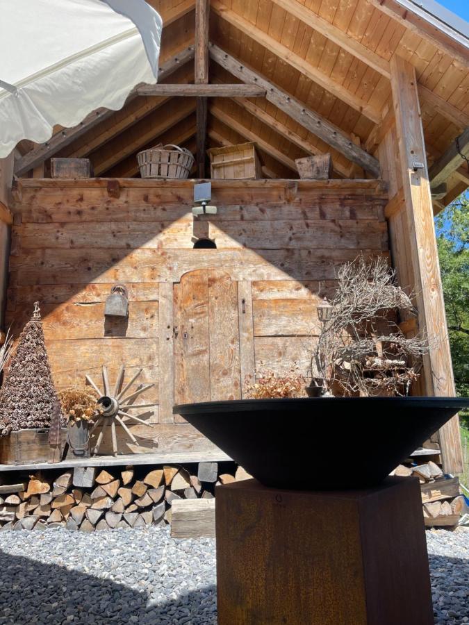 Chalet Alpage Proche Geneve Mégevette Kültér fotó